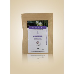 Curcuma Tisane 20g - Guyane Immunité