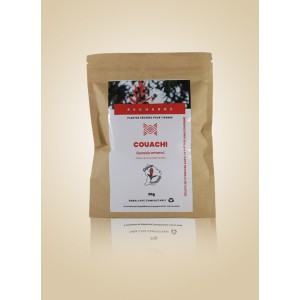 Couachi Tisane 20g - Guyane Immunité